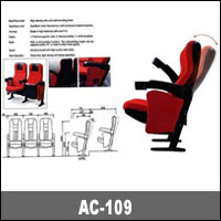 Auditorium Comfortable Sofa Chair